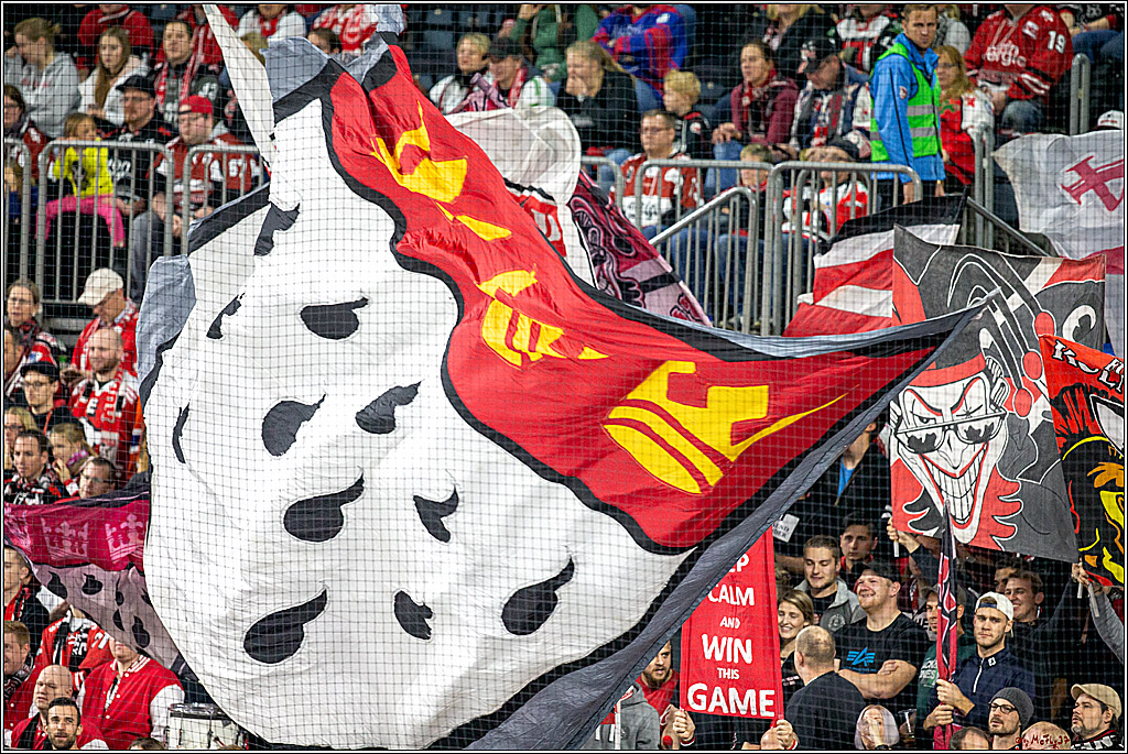DEL; Koelner Haie - ERC Ingolstadt; Koeln, 03.11.2019